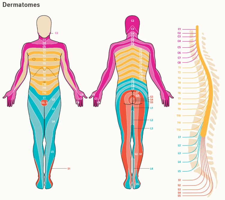 Lower Back Pain and Sciatica | Ortho Spineworks